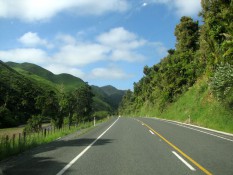 Holiday in New Zeland