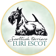 Euri Escot, Scottish terriers